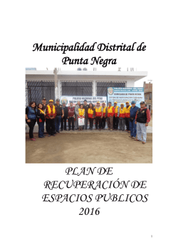 plan de recuperaci&oacute;n de espacios p&uacute;blicos 2016