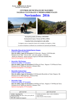 Noviembre 2016 - Ayuntamiento de Alicante