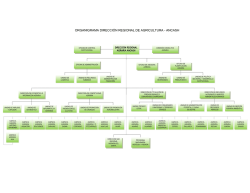 ORGANIGRAMA DIRECCI&Oacute;N REGIONAL DE AGRICULTURA
