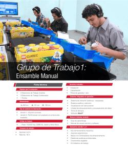 Grupo de Trabajo1