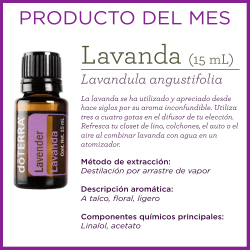 Lavanda (15 mL)