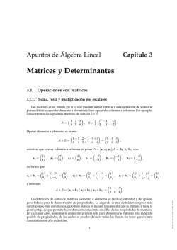 Cap&iacute;tulo 3. Matrices y Determinantes
