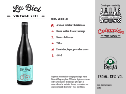 Fichas Vinos Divertidos copia