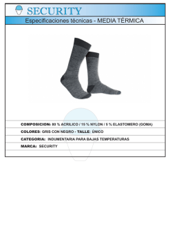 FICHA TECNICA DE MEDIAS T&Eacute;RMICAS.cdr