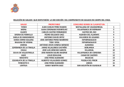 galgos participantes en el campeonato de campo del cnge 2016.