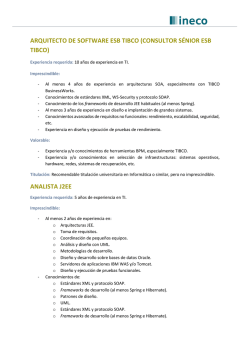 arquitecto de software esb tibco (consultor s&eacute;nior esb tibco