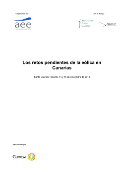 Los retos pendientes de la e&oacute;lica en Canarias