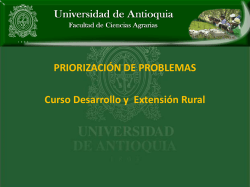 PRIORIZACI&Oacute;N DE PROBLEMAS