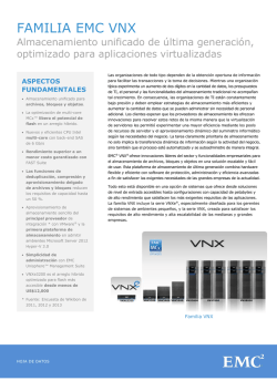 EMC VNX - Dataright Tecnolog&iacute;a Inform&aacute;tica
