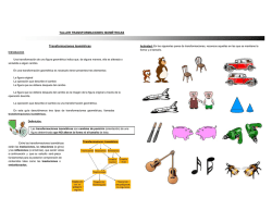 TALLER TRANSFORMACIONES ISOM&Eacute;TRICAS Transformaciones