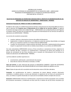 selecci&oacute;n de consultores por prestatarios del banco1
