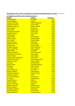 apellidos nombres formulario COLMAN BENITEZ LUZ MARIA