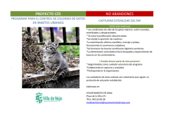 proyecto ces no abandones