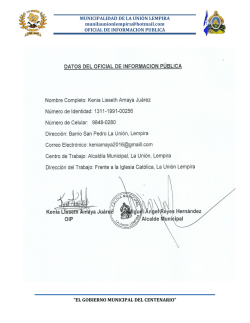 datos de oficial de informaci   12