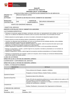 1.objeto del servicio 2.actividades espec&iacute;ficas asesor