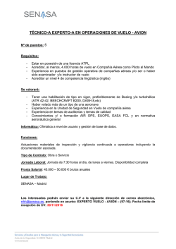 t&eacute;cnico-a experto-a en operaciones de vuelo - avion