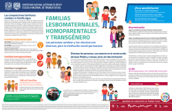 familias lesbomaternales, homoparentales y transg&eacute;nero
