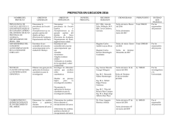 Proyectos de Investigaci&oacute;n 2016 - Universidad Nacional Pedro Ruiz