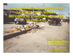 valoraci&oacute;n econ&oacute;mica de los servicios de limpieza p&uacute;blica de la