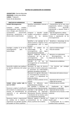 7&deg; B&aacute;sico B