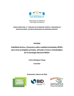 Viabilidad t&eacute;cnica y financiera sobre medidas/actividades REDD+