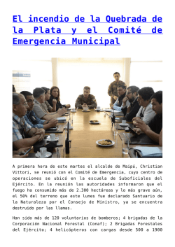 El incendio de la Quebrada de la Plata y el Comit&eacute; de