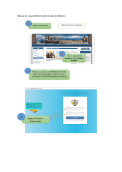 Manual de Usuario (Sistema de Consulta de Boletas) Ingrese