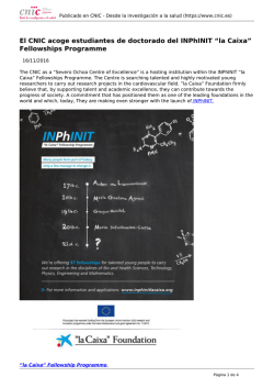 Fellowships Programme