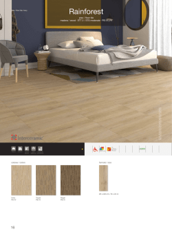 Rainforest - Interceramic