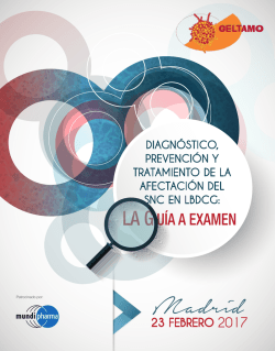 las Bases del Concurso