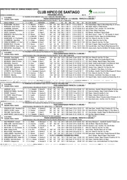 Volante - Club H&iacute;pico de Santiago