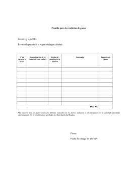 Planilla para la rendici&oacute;n de gastos Nombre y Apellido