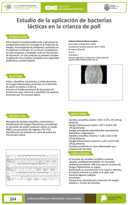 introduccion objetivos metodologia resultados conclusiones