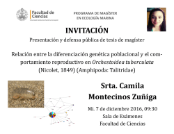 Camila Montecinos Zu&ntilde;iga