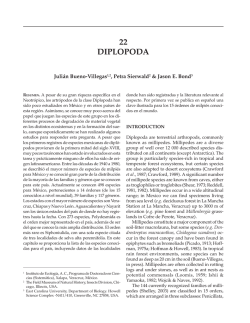 Diplopoda (PDF Available)