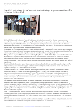 Comit&Atilde;&copy; paritario de Teck Carmen de Andacollo