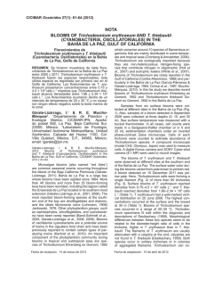 Blooms of Trichodesmium erythraeum and T. thiebautii