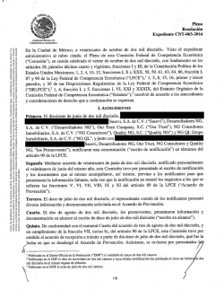 Direcci&oacute;n General de Concentraciones. Fundamento lega