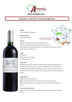 Descargar Ficha T&eacute;cnica Ch&acirc;teau La Roche