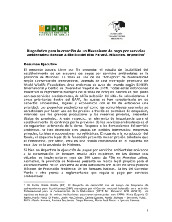 Diagn&oacute;stico para la creaci&oacute;n de un Mecanismo de pago por