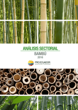 Descargar - Pro Ecuador