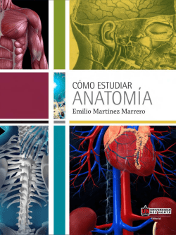 Como estudiar anatomia.pdf