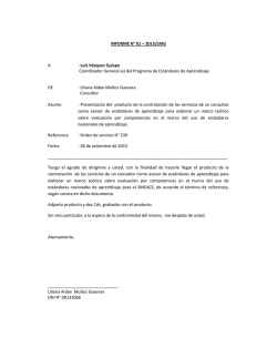 INFORME N&deg; 01 &ndash; 2015/LMG A