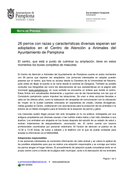 26 perros con razas y caracter&iacute;sticas diversas esperan ser