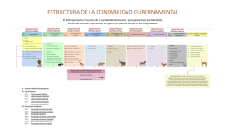 ESTRUCTURA DE LA CONTABILIDAD GUBERNAMENTAL