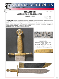 Diapositiva 1 - Vicente Toledo Momparler