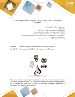 80011-2. Los Cinco Sentidos