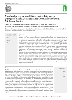 Mancha algal en guayabo (Psidium guajava L.) y mango (Mangifera