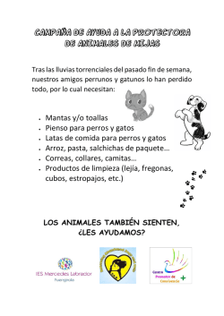 campa&ntilde;a ayuda protectora mijas(1)