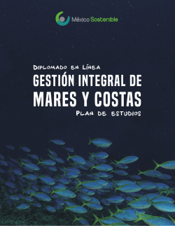 GIMAC Plan de estudios VF Dic 2016